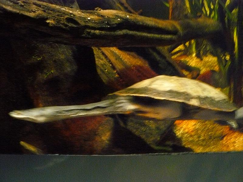 P1120847.JPG