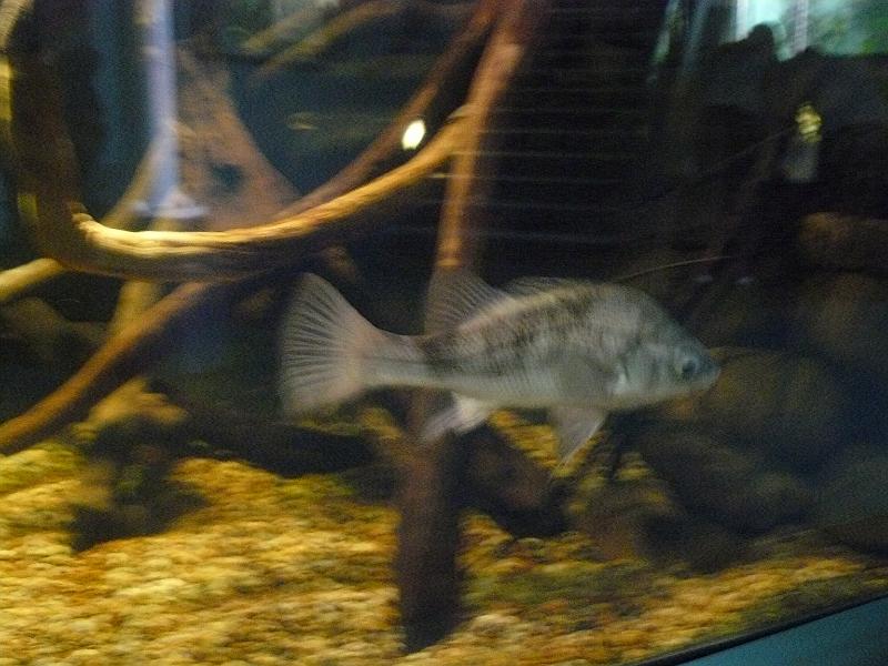 P1120855.JPG