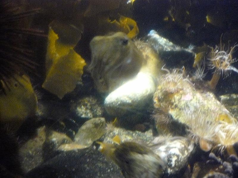 P1120875.JPG