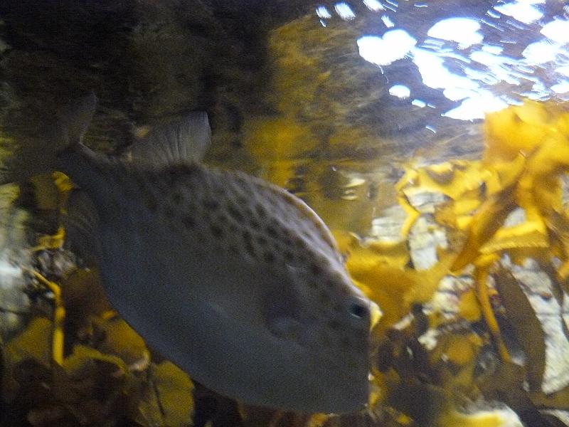 P1120884.JPG
