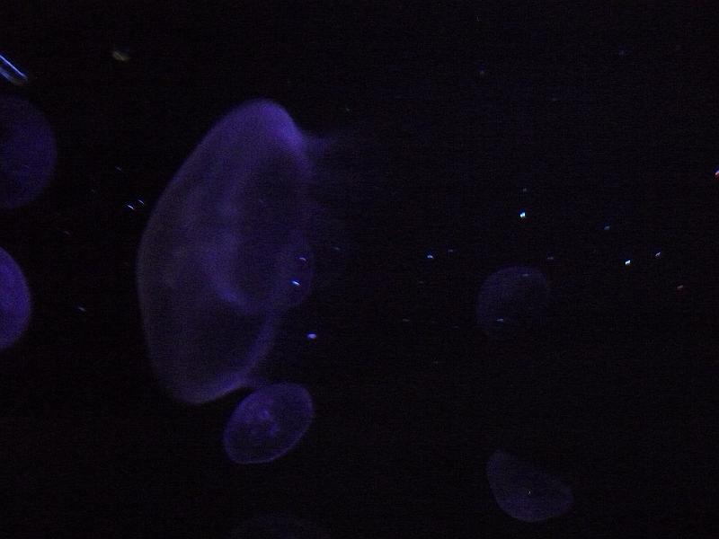 P1120886.JPG