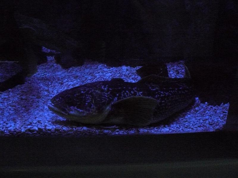 P1120893.JPG
