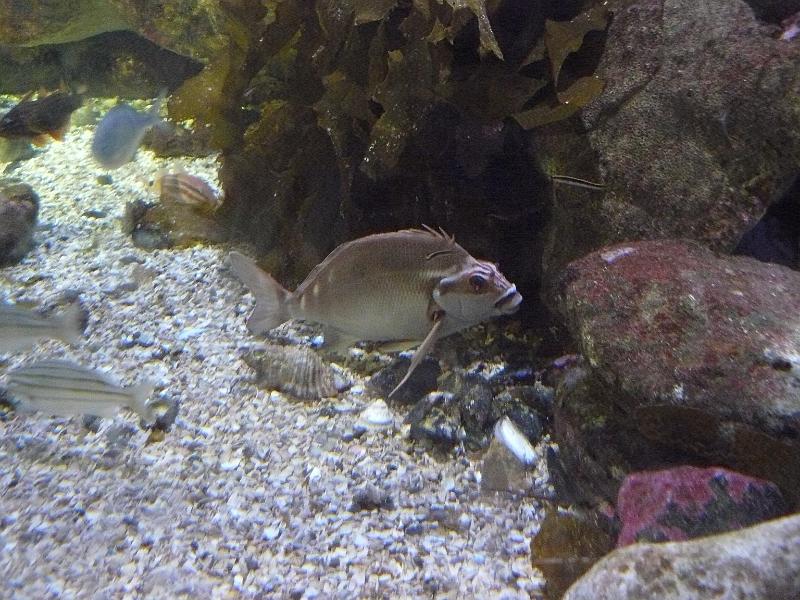 P1120895.JPG