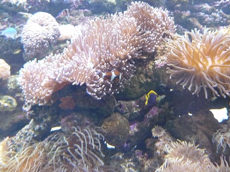 P1120905.JPG