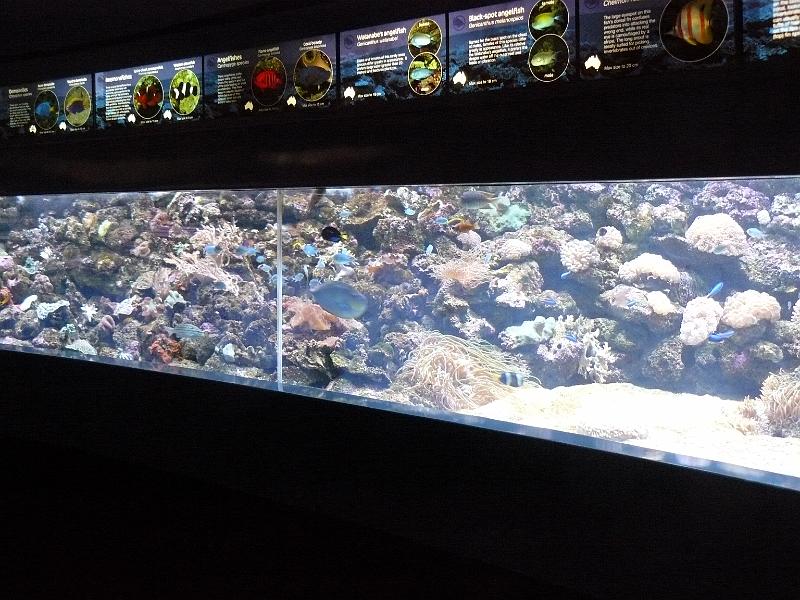 P1120911.JPG