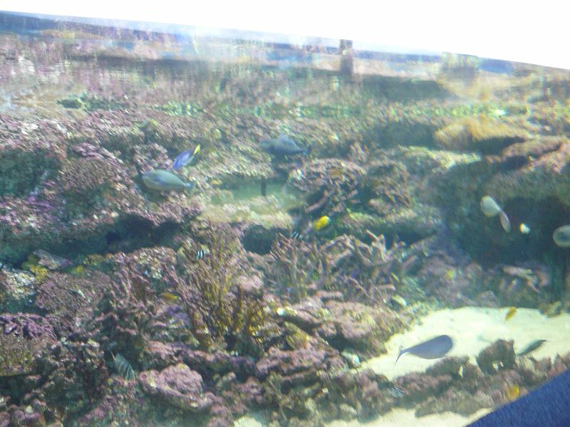 P1120917.JPG