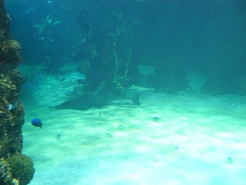 P1120924.JPG