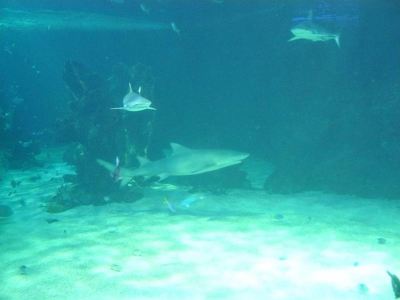 P1120925.JPG
