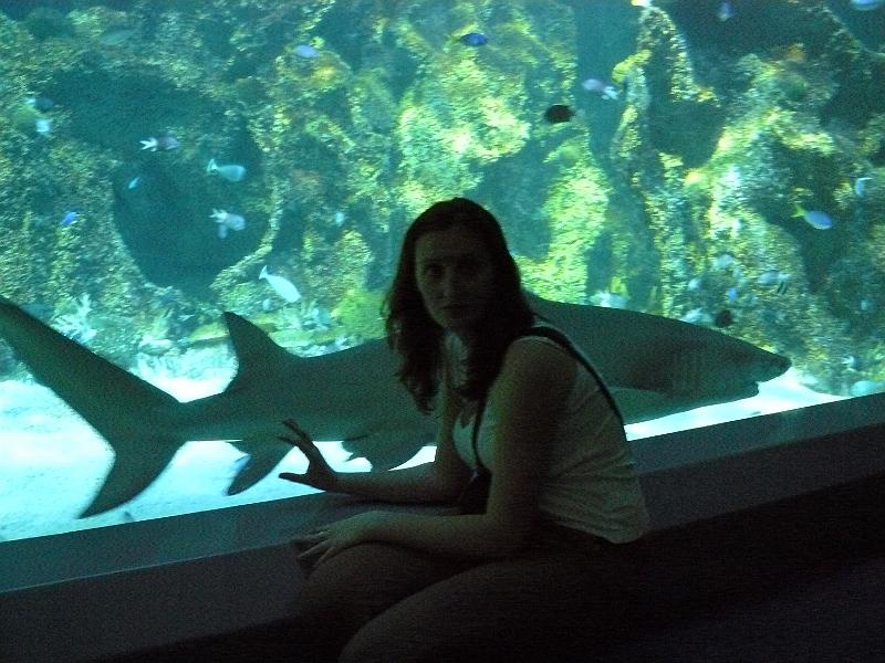 P1120939.JPG