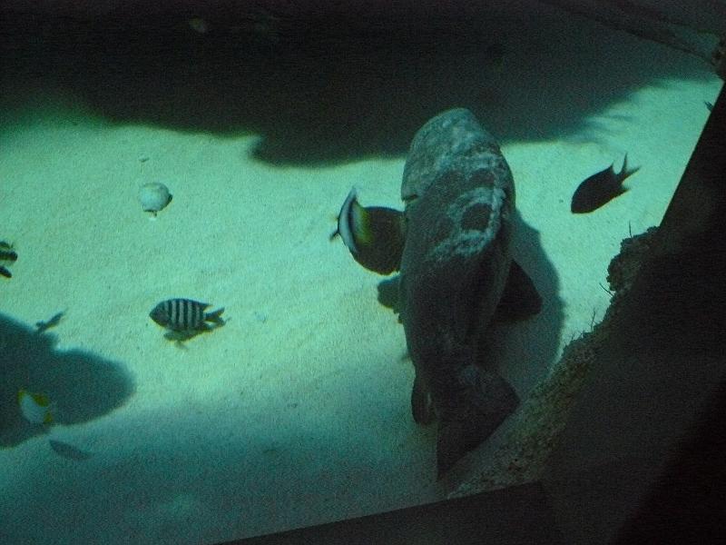 P1120948.JPG
