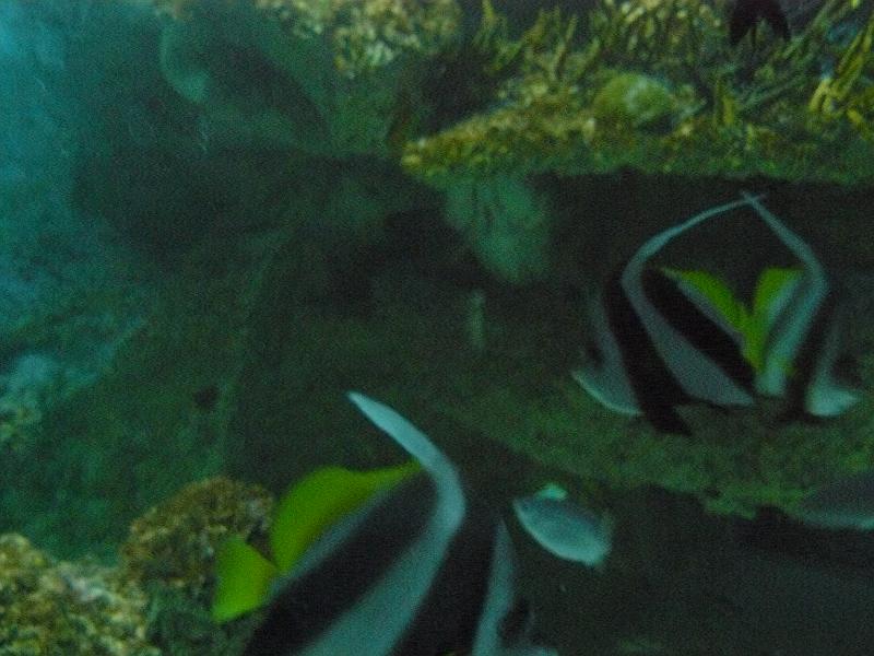 P1120949.JPG