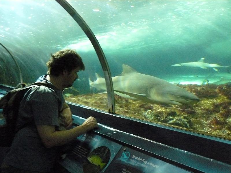 P1120980.JPG