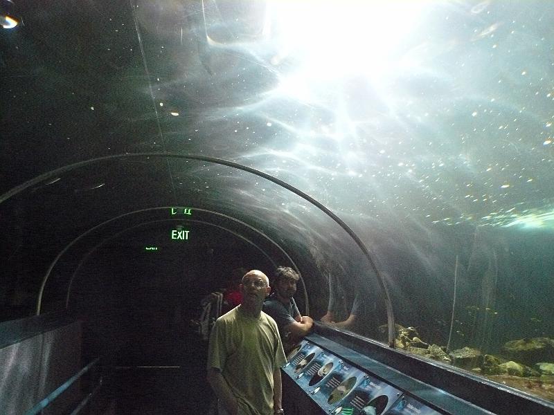 P1120984.JPG