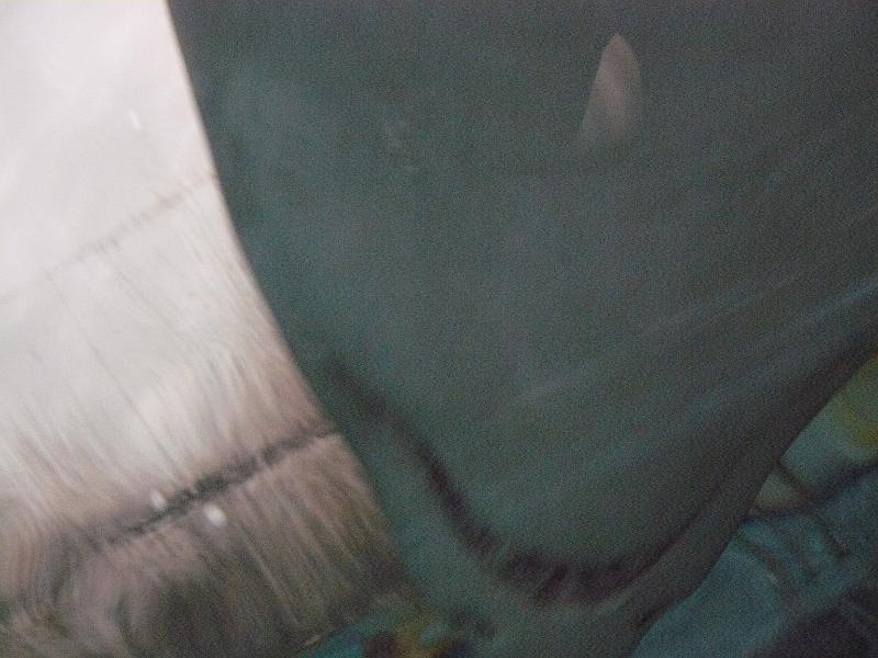 P1120989.JPG