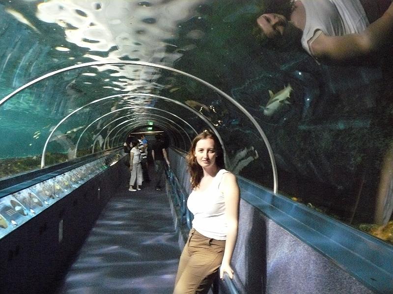 P1120991.JPG