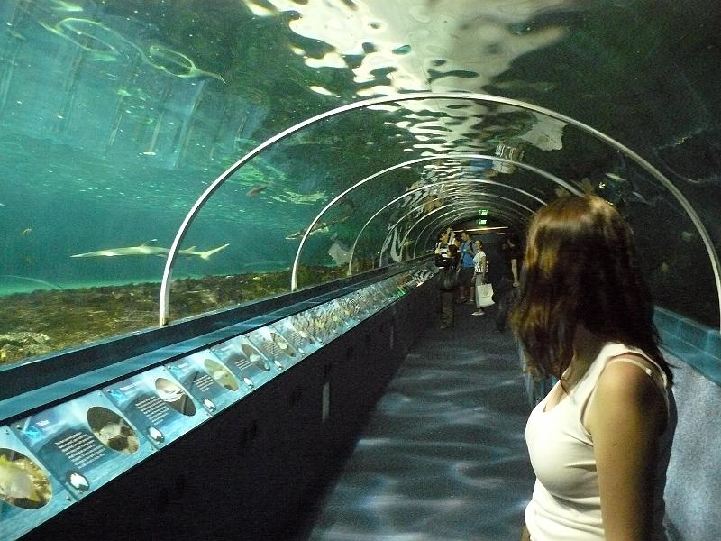P1120992.JPG