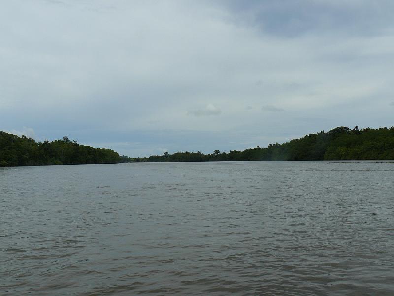 P1130889.JPG
