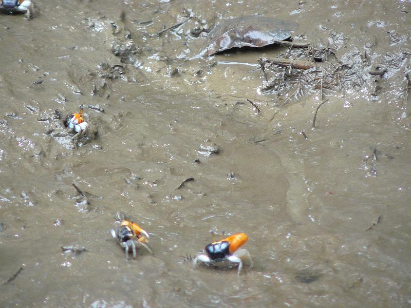 P1130895.JPG