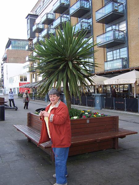 100_6858.JPG