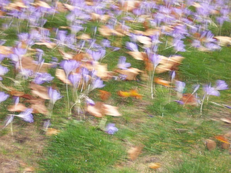 100_6897.JPG
