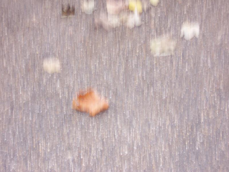 100_6898.JPG