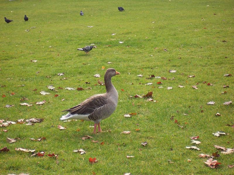 100_6901.JPG