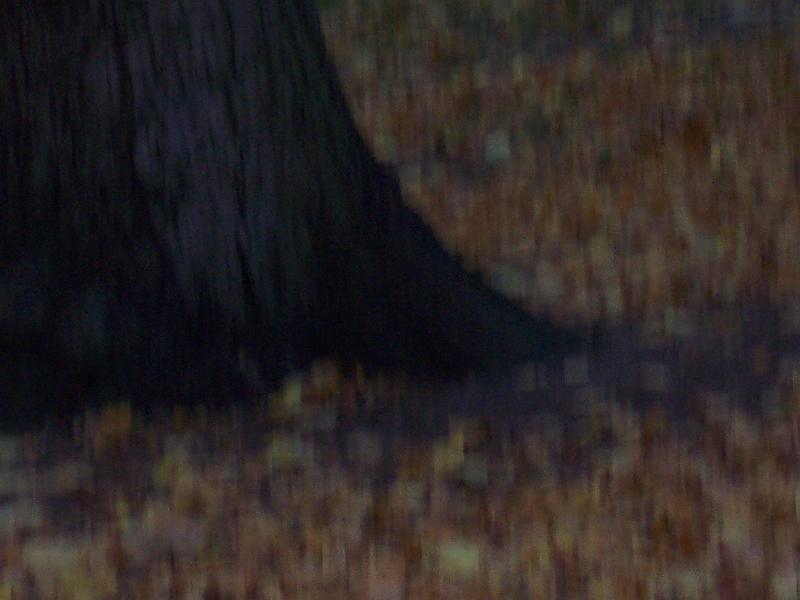 100_6902.JPG