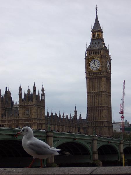 100_6933.JPG
