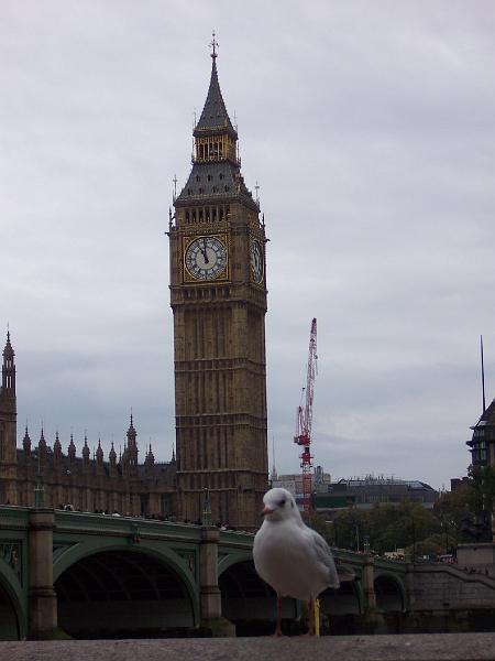 100_6934.JPG