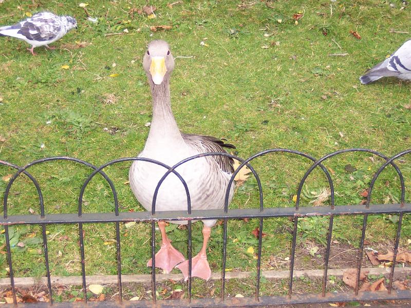 100_6951.JPG