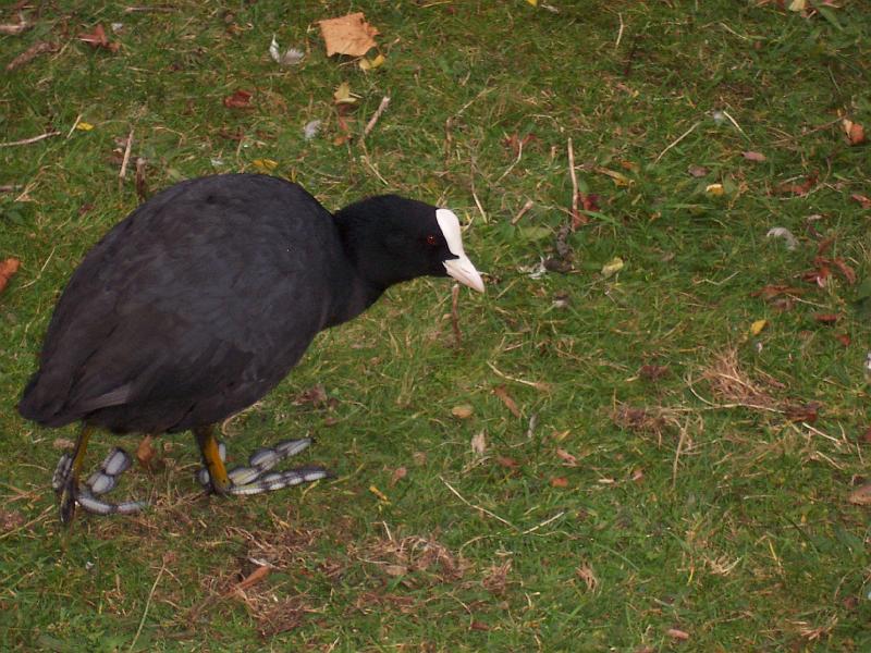 100_6953.JPG