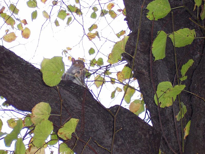 100_6954.JPG