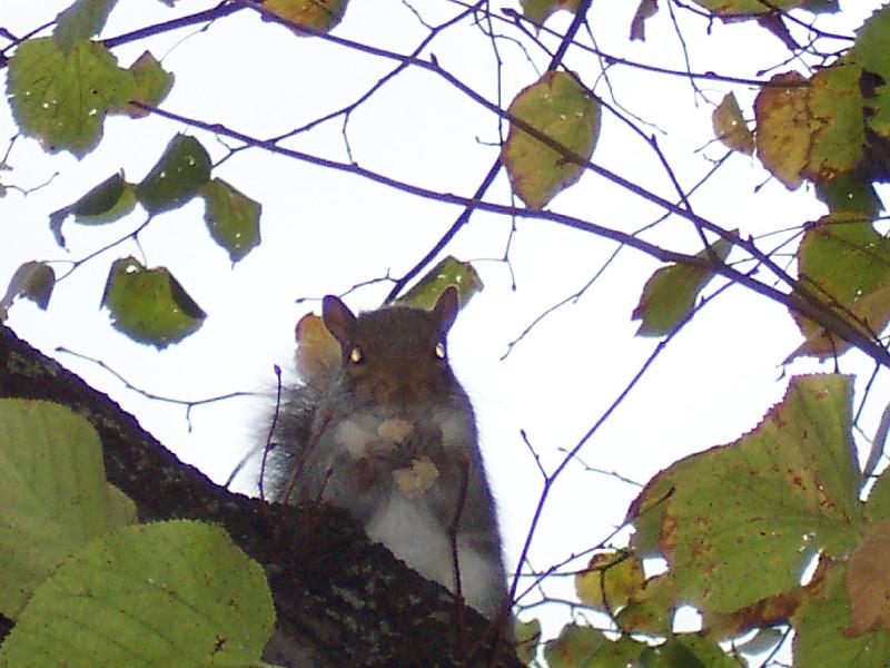 100_6955.JPG