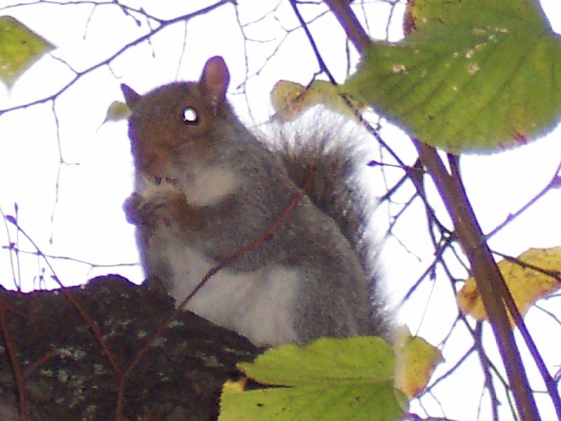100_6956.JPG