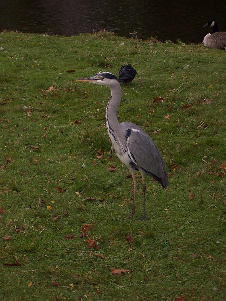 100_6958.JPG