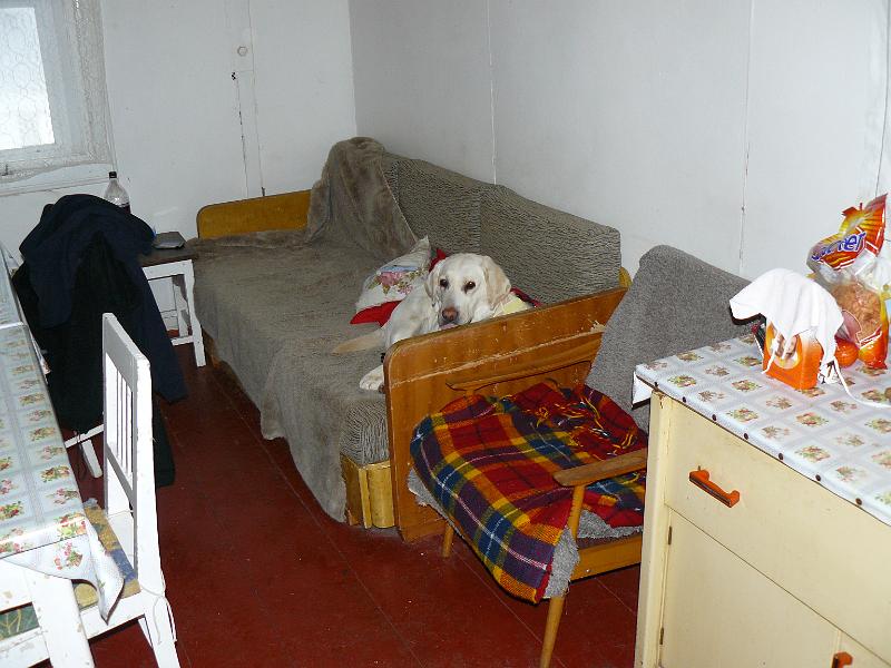 P1110891.JPG