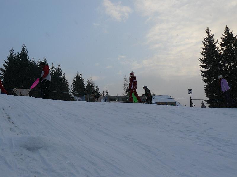 P1110941.JPG